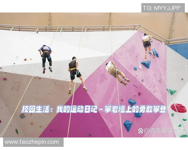 南京攀岩队成长之路：一段关于勇气与坚持的攀登纪实
