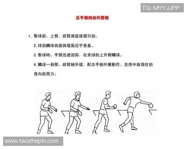 广州乒乓球队的阵地战揭秘与深度分析探讨乒乓球的战术与技巧