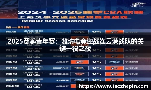 2025赛季青年赛：潍坊电竞迎战连云港战队的关键一役之夜