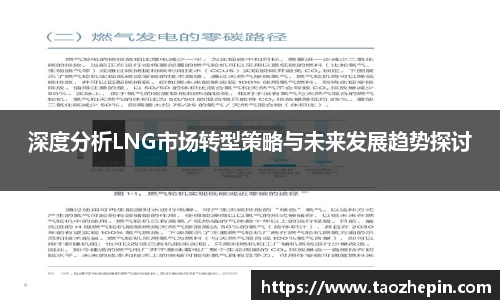 深度分析LNG市场转型策略与未来发展趋势探讨